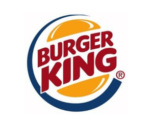 Client Logo 29